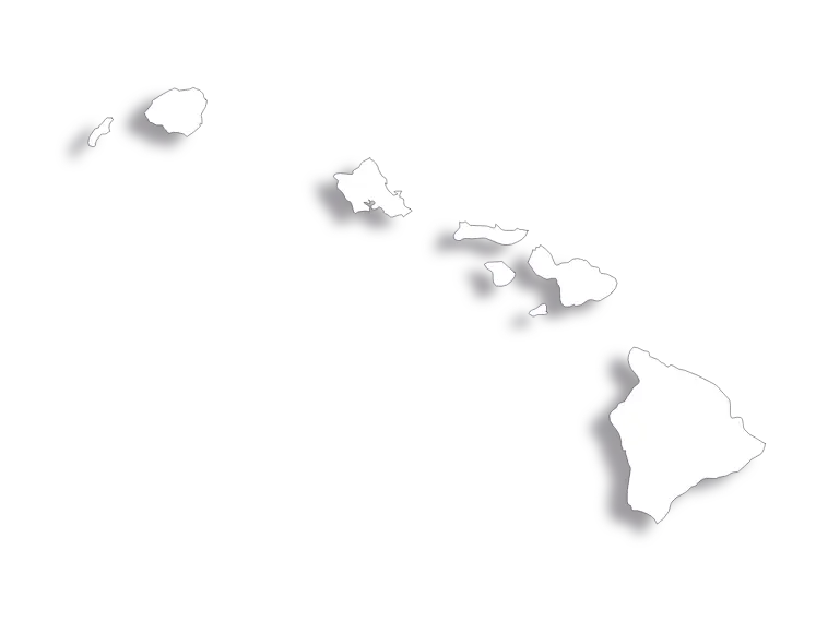 Vector Flag of Hawaii - Outline