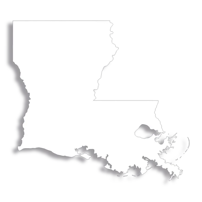 Vector Flag of Louisiana - Outline