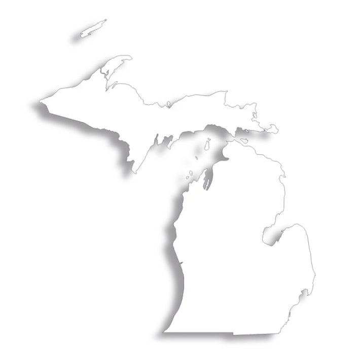 Vector Flag of Michigan - Outline