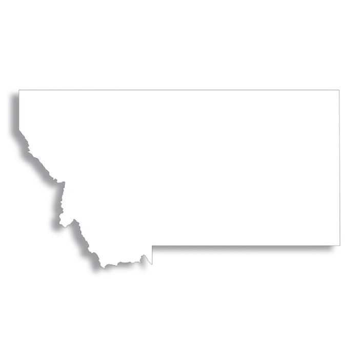 Vector Flag of Montana - Outline