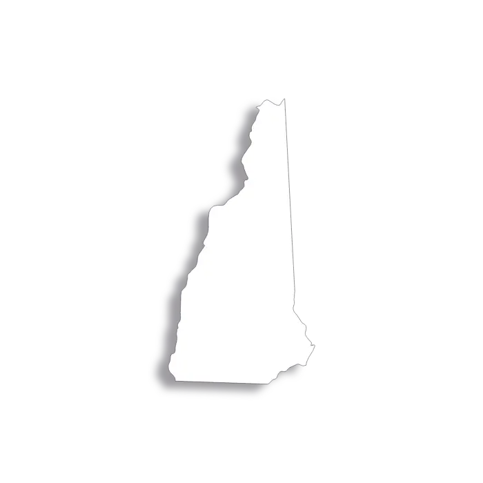 Vector Flag of New Hampshire - Outline
