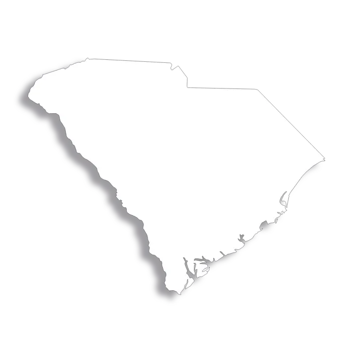 Vector Flag of South Carolina - Outline